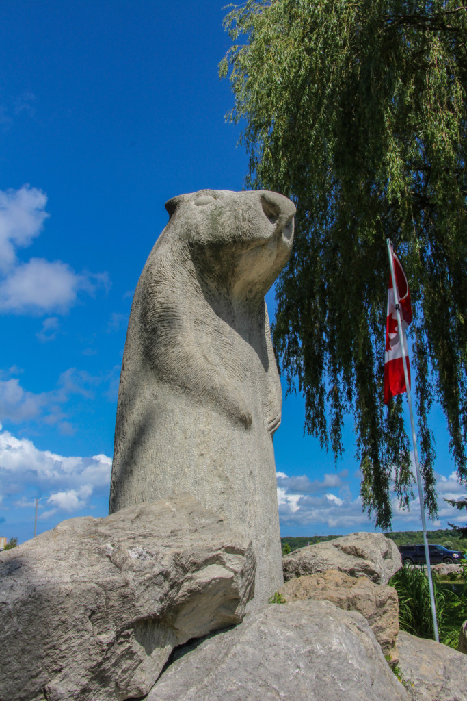 Wiarton-Willie